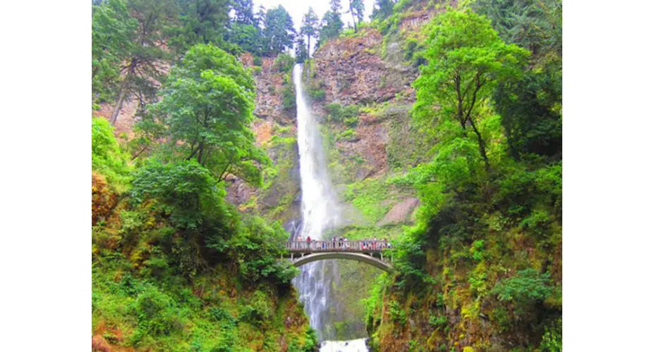 Winter Wonderland: 5 Gorgeous Waterfall Hikes Around Portland