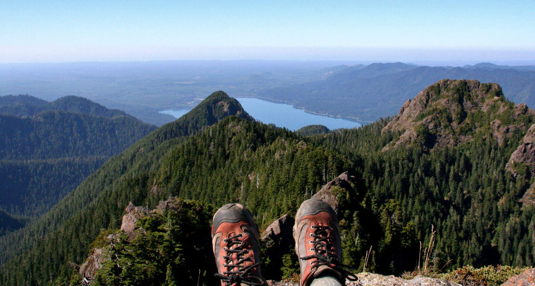 A Guide to the Best Hiking in Olympic National Park