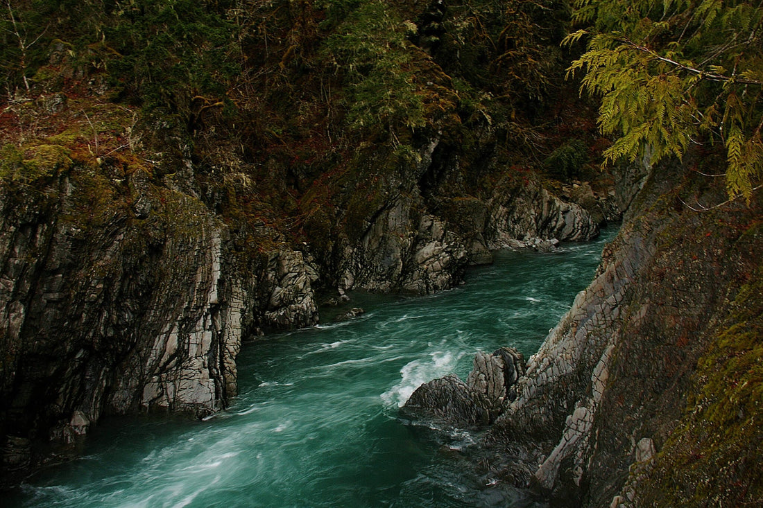 An Insider’s Guide to an Unforgettable Weekend in Olympic National Park