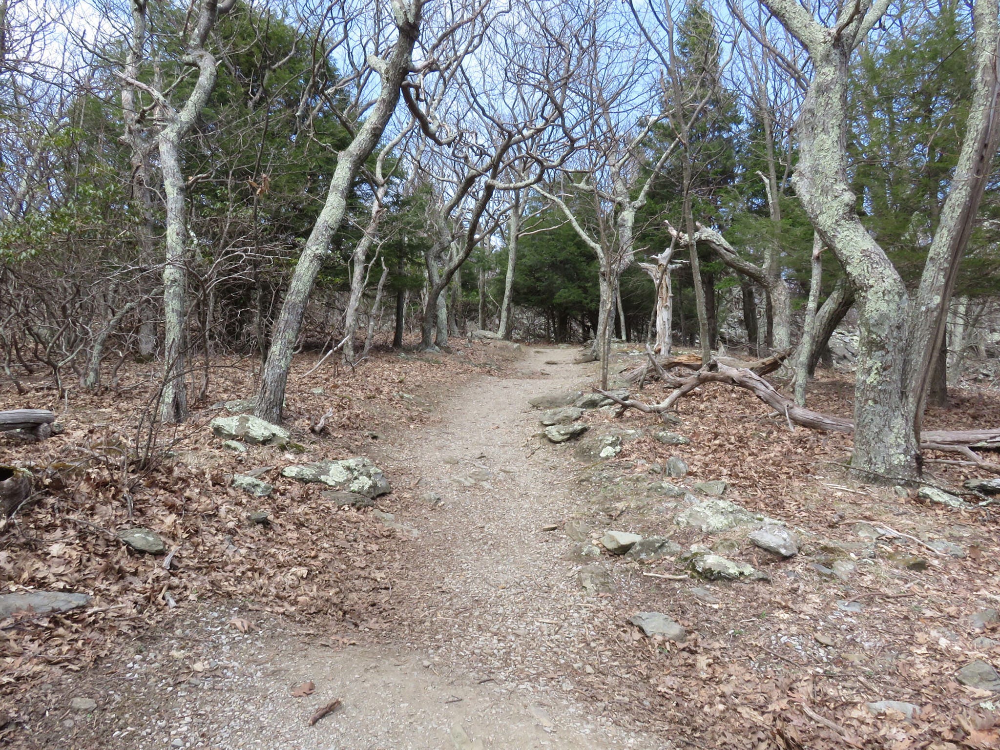 Trail Running In Shenandoah National Park: An Insider’s Guide ...